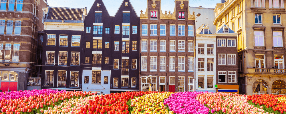 Quartier traditionnel avec des tulipes à Amsterdam