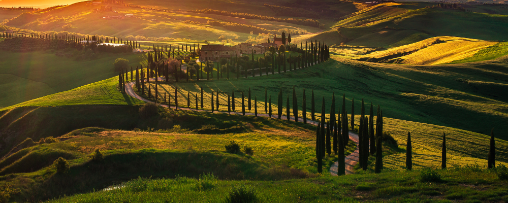 La Toscane regorge de collines verdoyantes.