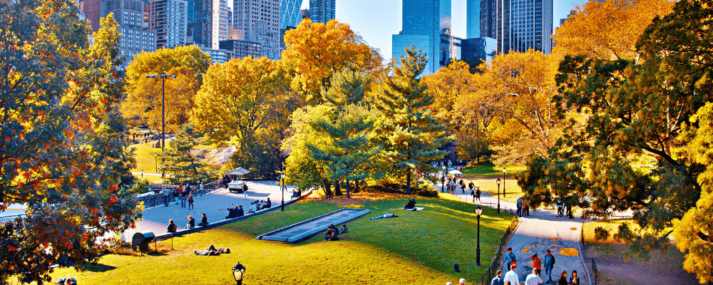 Central Park à New York